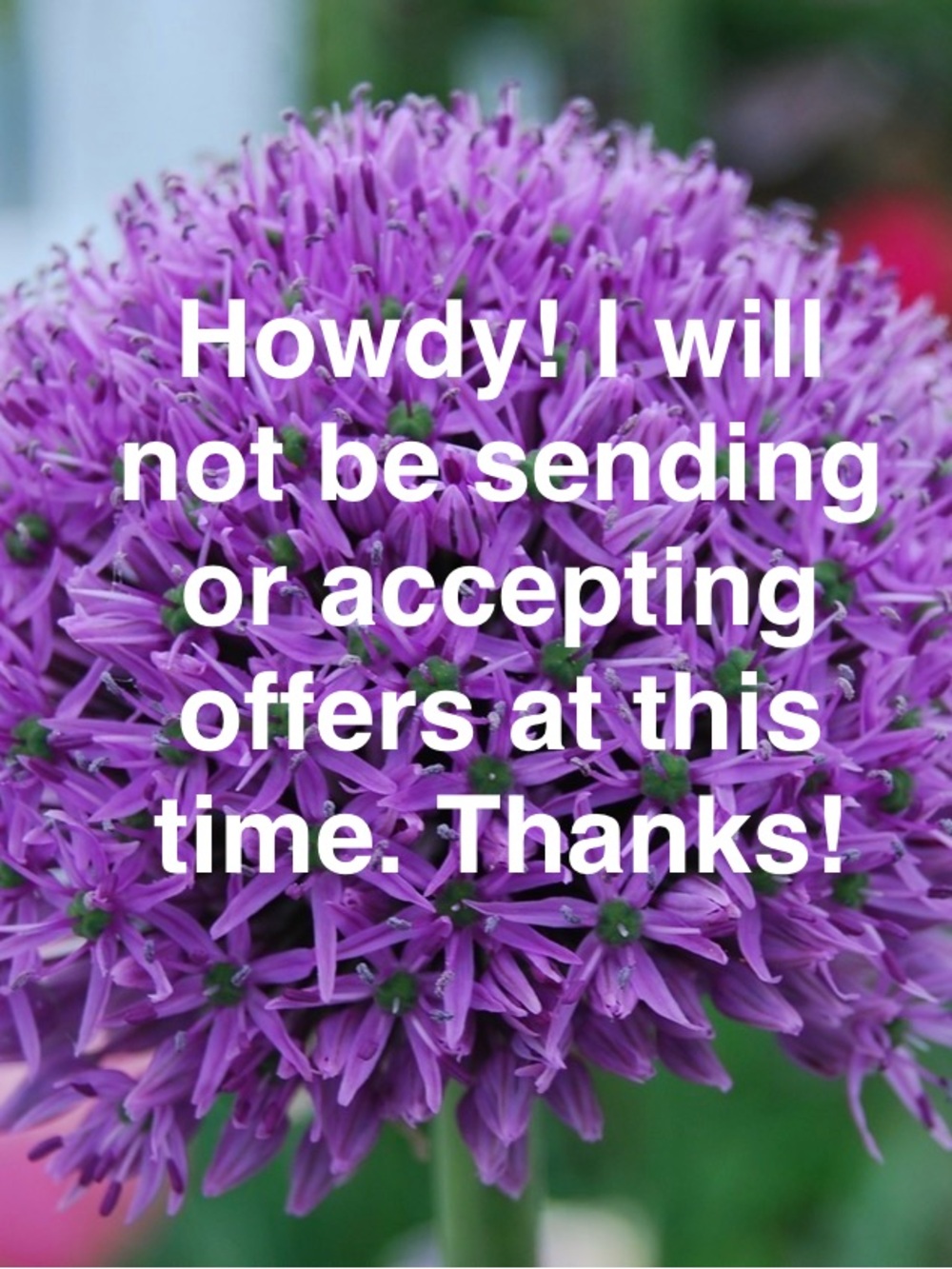 Beach Riot Swimsuit - Picture 2 of 8